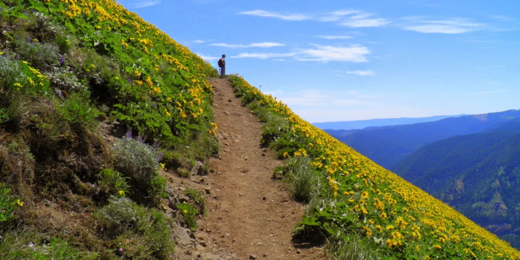 Dog Mountain Trail Hikes in Vancouver
