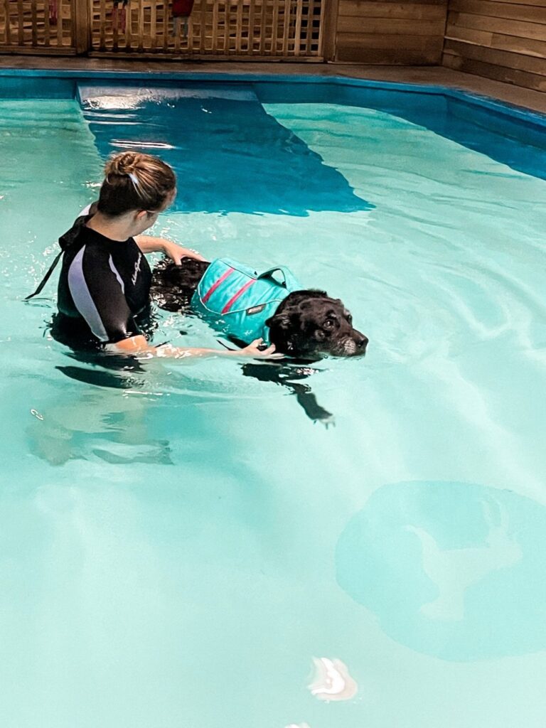 Aquapaws Canine Hydrotherapy pool class