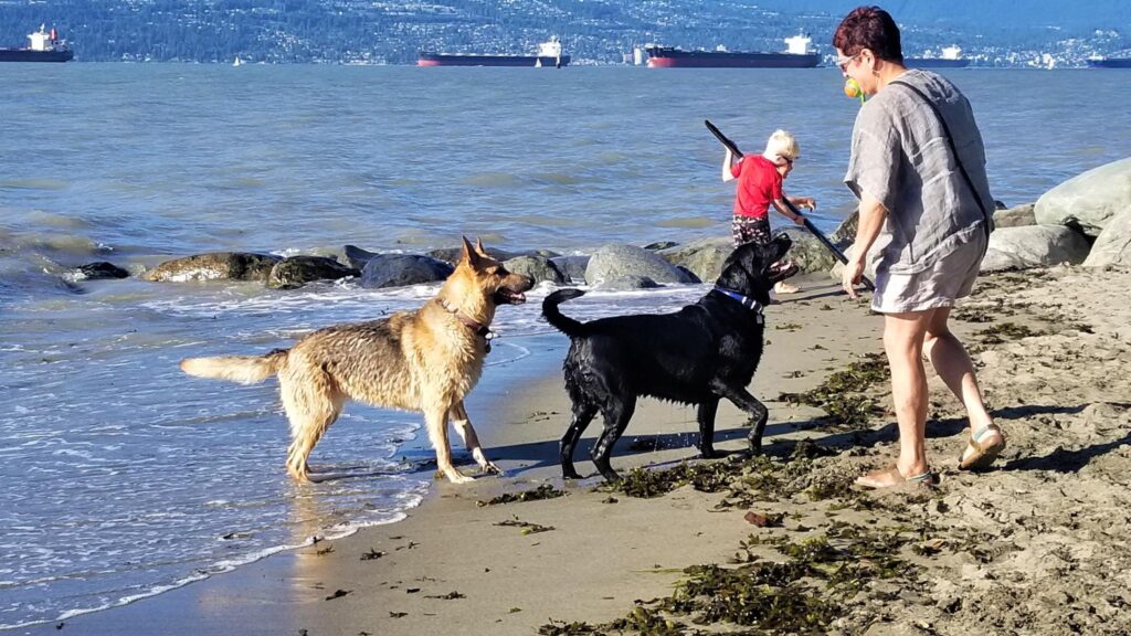 Spanish Banks beaches in Vancouver