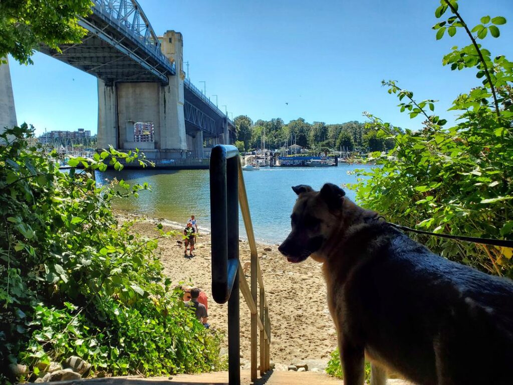 Sunset Beach in Vancouver