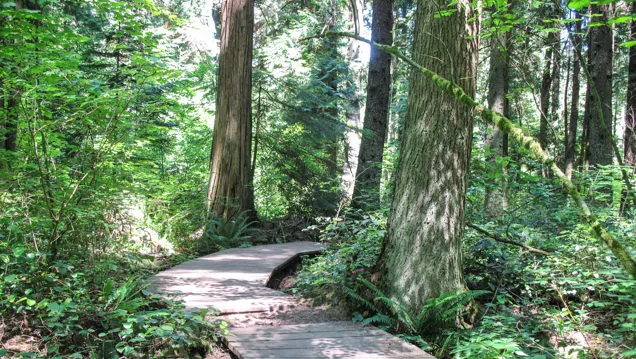 Lynn Loop Trail Hikes in Vancouver